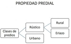 Tipos de predio